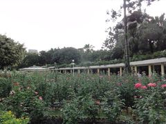 -人民公园(罗湖区)