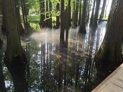 -东湖落雁景区