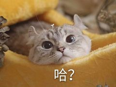 -正清和·推拿养生(二七广场店)