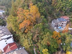 -众神白水涧景区