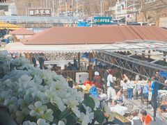 -京北渔家傲