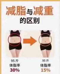 -香薇妮丝女子减肥院