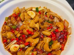 -南昌之星游乐场