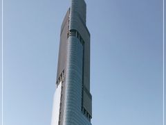 -紫峰大厦
