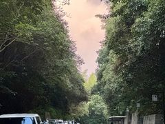 -天目湖涵田半山温泉