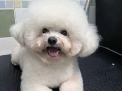 -全心全意连锁动物医院·特色中医诊疗(会城门分院)