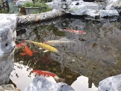 -仙岳公园