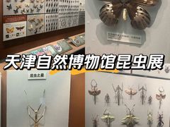 -天津自然博物馆