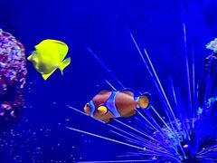 -成都浩海立方海洋公园