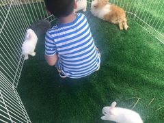 -季高兔窝窝亲子园(上海薰衣草公园店)