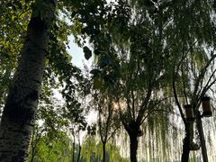 -济南大明湖景区