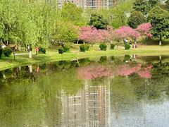-堤角公园