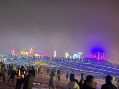 -大塘金香草谷