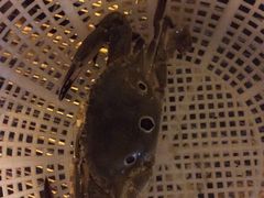 -三亚海韵度假酒店·渔人码头海鲜火锅BBQ自助餐厅·落日吧