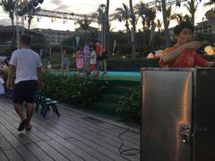 -渔家火锅·海鲜自助餐·演艺(亚龙湾天域酒店)