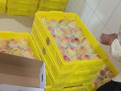 -老袁家蜜桃农场·阳山水蜜桃