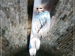 -故宫冰窖餐厅