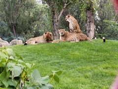-北京野生动物园