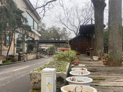 -天怡·鱼工厂(梅溪湖店)
