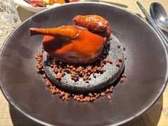 大红袍花椒乳鸽-许家菜(望江店)