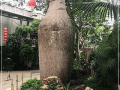 -北京植物园-展览温室