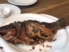 -高玛纳驴肉火烧(河间总店)