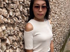 -碧江金楼