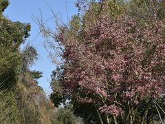 -东钱湖旅游度假区