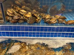 鲍鱼-乔哥铭洋海鲜自助(皇城恒隆广场店)