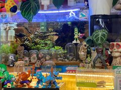 -Rabbit Cafe私房西餐甜点咖啡(栖霞路店)