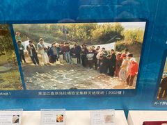-辽宁古生物博物馆