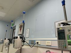 -纳吉亚猫专科动物诊疗中心(蒋宅口分院)