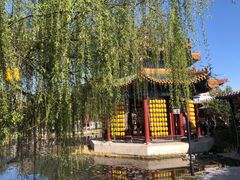 -曹州牡丹园