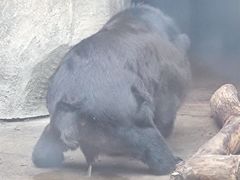 -南昌动物园