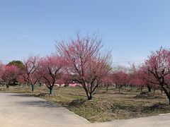 -上海杨姆庄园