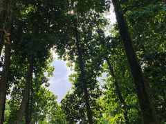 -广州市帽峰山景区