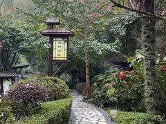 -明月山天沐温泉度假村