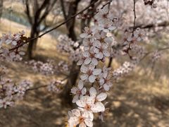 -马家湾湿地公园