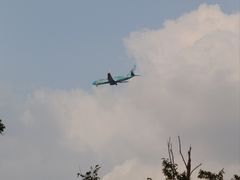 -九科绿洲