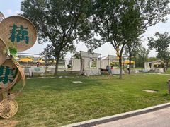 -天津东丽湖风景区