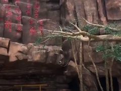 -御龙温泉度假村