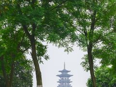 -洋湖国家湿地公园