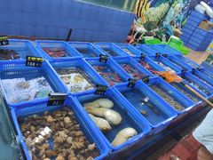 -七鲜渔港美食餐厅(巽寮湾海景店)
