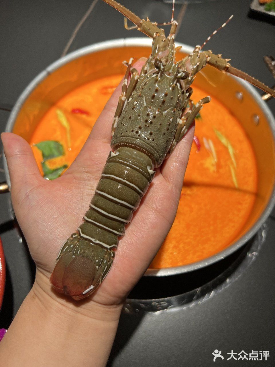 重庆的！重庆的！全场小青龙畅吃