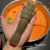 重庆的！重庆的！全场小青龙畅吃