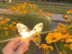 -汉长安城未央宫国家考古遗址公园