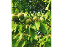 -淇河国家湿地公园