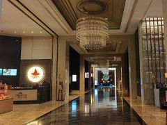 -成都保利公园皇冠假日酒店(熊猫基地店)