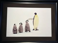 -罗红摄影艺术馆