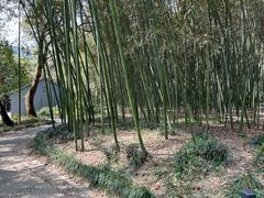 -兰亭风景区